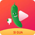 黄瓜视频app免费版