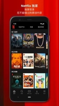 Netflix app