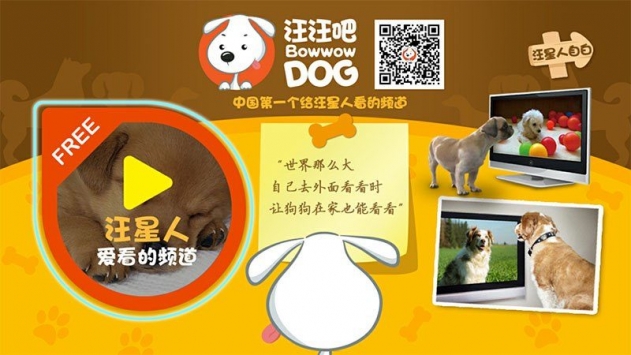 dogtv图片3