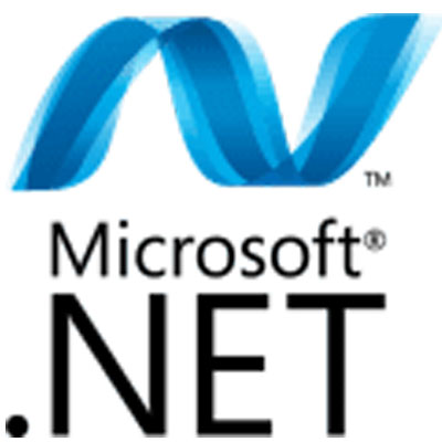 .net framework 4.0.30319