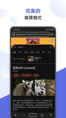 Lemur Browser浏览器安卓版图片2