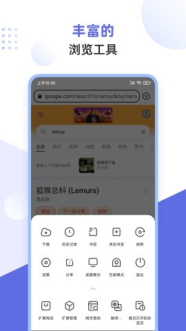Lemur Browser浏览器安卓版图片3