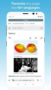 kiwi浏览器中文版图片2