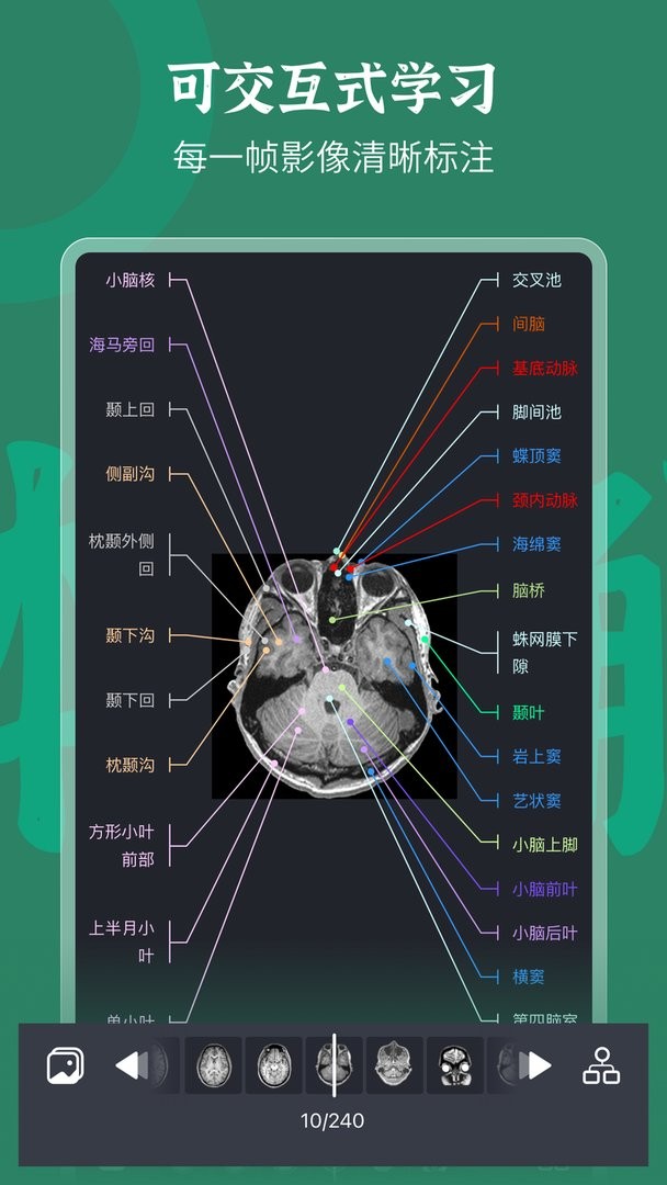 万康人体解剖安卓版图片2