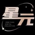 星元数字藏品平台安卓版