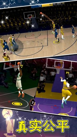 篮球世界模拟器中文版图片1